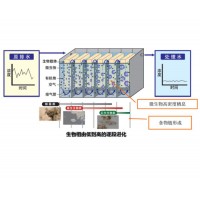 高效消解COD和脱氮的进化生物法AD-BIO